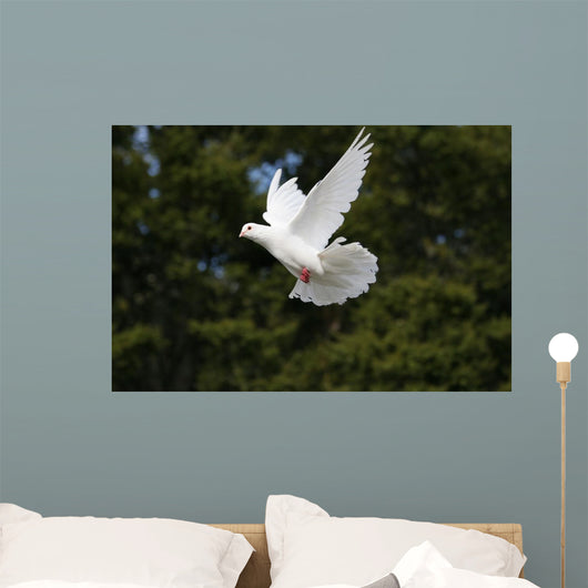 White Dove Flying Wall Mural