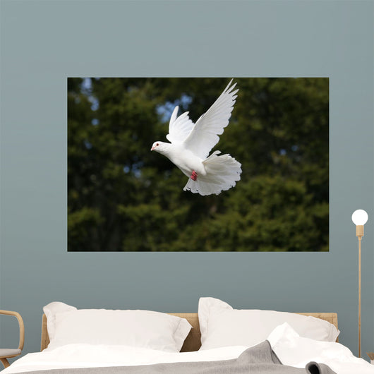 White Dove Flying Wall Mural