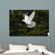 White Dove Flying Wall Mural