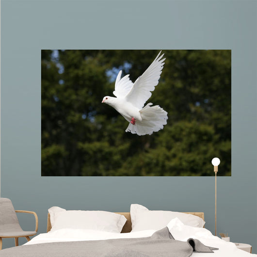 White Dove Flying Wall Mural