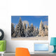 Winter forest landscape Schee Wall Mural