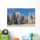 Winter forest landscape Schee Wall Mural