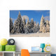 Winter forest landscape Schee Wall Mural