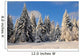 Winter forest landscape Schee Wall Mural