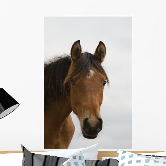 Horse Head Wall Mural