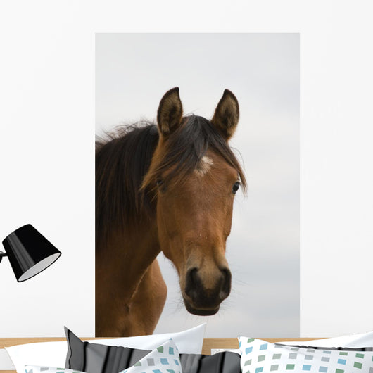 Horse Head Wall Mural