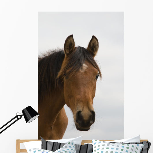 Horse Head Wall Mural