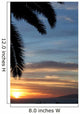 Pacific Sunset