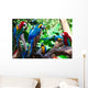 Group Parrots Wall Mural