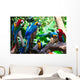 Group Parrots Wall Mural