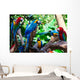 Group Parrots Wall Mural