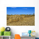 Corn Field Autumn