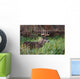 White-Tailed Deer Buck Wall Mural