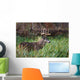 White-Tailed Deer Buck Wall Mural