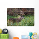 White-Tailed Deer Buck Wall Mural