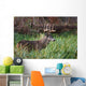 White-Tailed Deer Buck Wall Mural