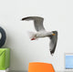 Seagull Wall Decal
