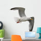 Seagull Wall Decal