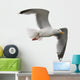 Seagull Wall Decal