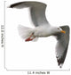Seagull Wall Decal