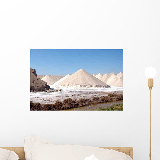 Sel Camargue Wall Decal