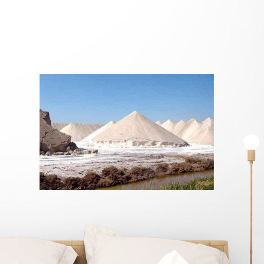Sel Camargue Wall Decal