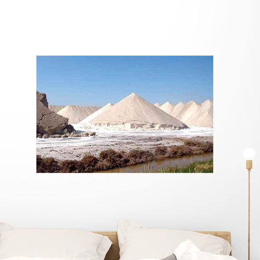Sel Camargue Wall Decal