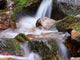 Cascade and Spring Wall Decal