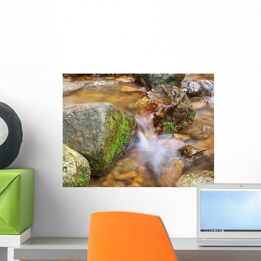 Spring Wall Decal Design 5