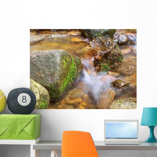 Spring Wall Decal Design 5
