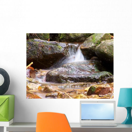 Spring Wall Decal Design 4