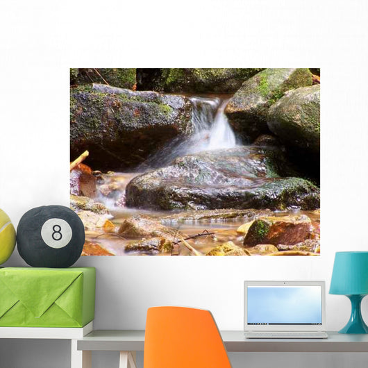 Spring Wall Decal Design 4