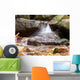 Spring Wall Decal Design 4