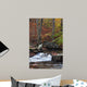 Catoctin Mountain Stream Wall Mural