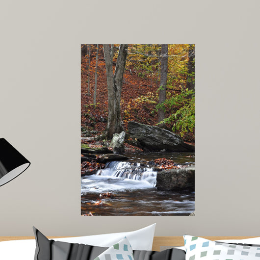 Catoctin Mountain Stream Wall Mural