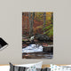 Catoctin Mountain Stream Wall Mural