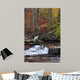 Catoctin Mountain Stream Wall Mural
