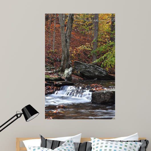 Catoctin Mountain Stream Wall Mural
