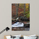 Catoctin Mountain Stream Wall Mural
