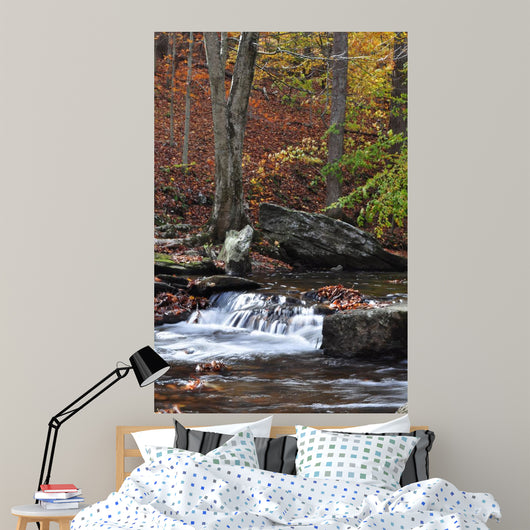 Catoctin Mountain Stream Wall Mural