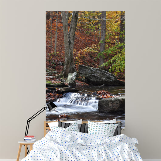 Catoctin Mountain Stream Wall Mural