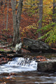 Catoctin Mountain Stream Wall Mural