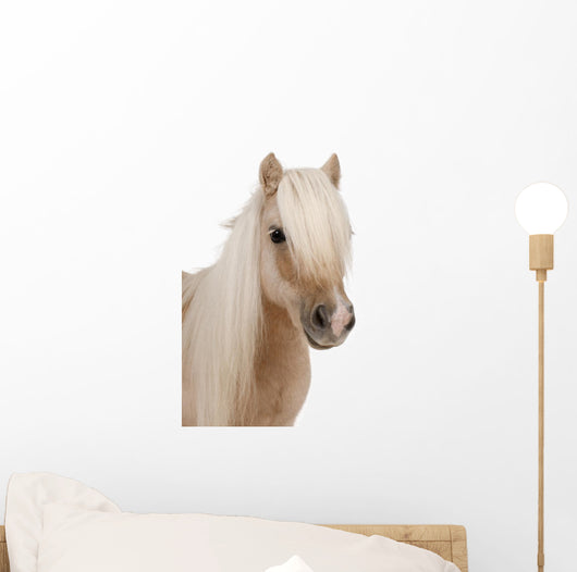 Shetland Pony Wall Decal