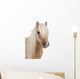 Shetland Pony Wall Decal