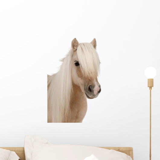 Shetland Pony Wall Decal