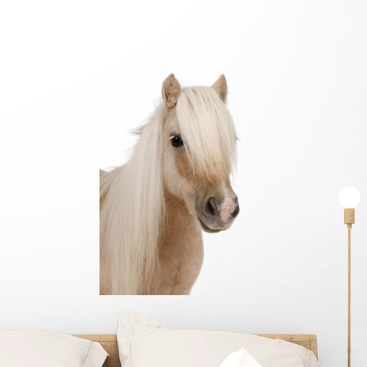 Shetland Pony Wall Decal