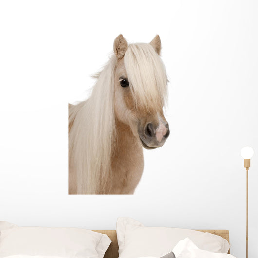 Shetland Pony Wall Decal