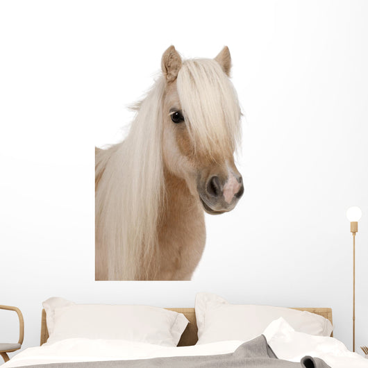 Shetland Pony Wall Decal