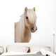Shetland Pony Wall Decal