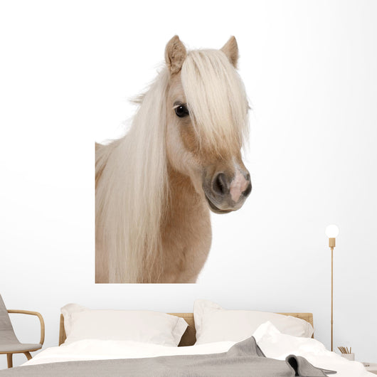 Shetland Pony Wall Decal